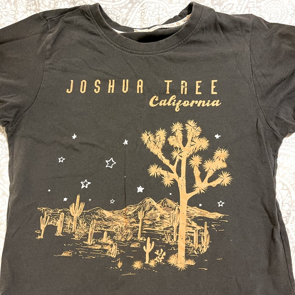 Joshua Tree top